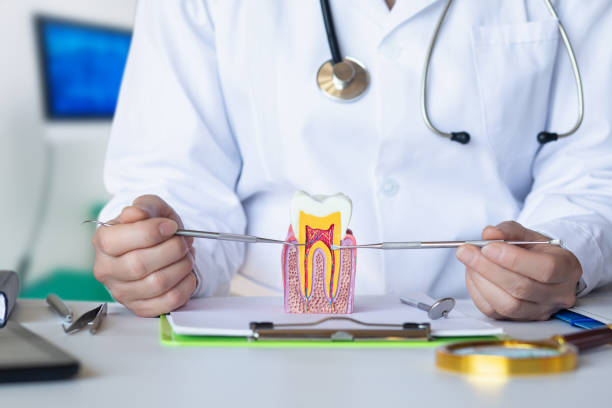 Best Emergency Dental Care for Sports Injuries in Gregory, SD